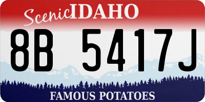 ID license plate 8B5417J