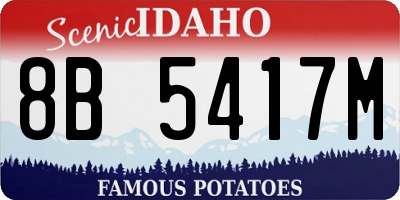 ID license plate 8B5417M