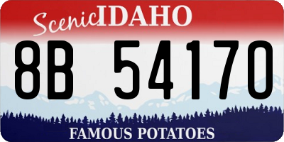 ID license plate 8B5417O