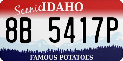 ID license plate 8B5417P