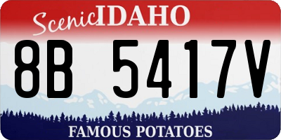 ID license plate 8B5417V