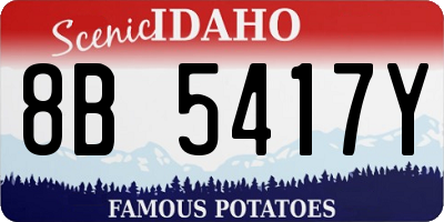 ID license plate 8B5417Y