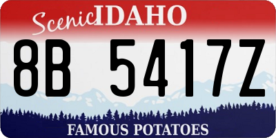 ID license plate 8B5417Z