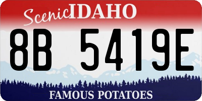 ID license plate 8B5419E