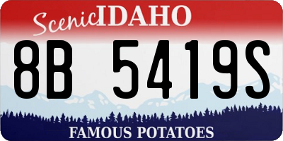 ID license plate 8B5419S