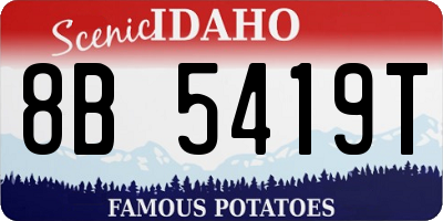 ID license plate 8B5419T