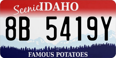 ID license plate 8B5419Y