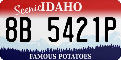 ID license plate 8B5421P