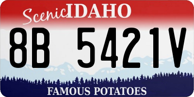 ID license plate 8B5421V