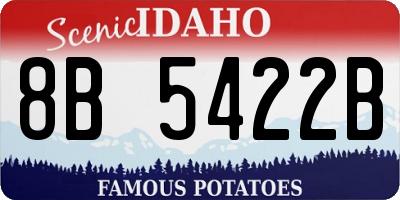 ID license plate 8B5422B