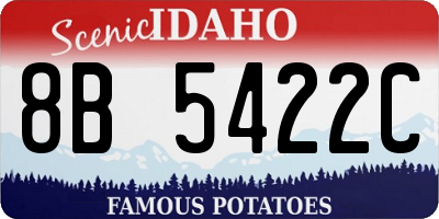 ID license plate 8B5422C