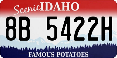 ID license plate 8B5422H