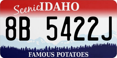 ID license plate 8B5422J