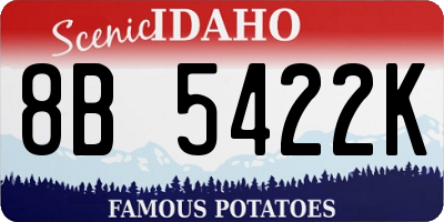 ID license plate 8B5422K