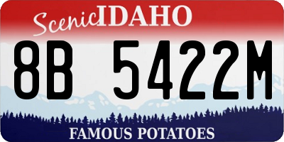 ID license plate 8B5422M