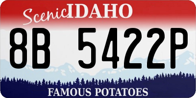 ID license plate 8B5422P