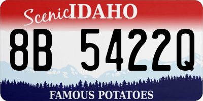 ID license plate 8B5422Q