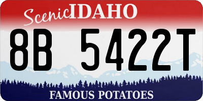 ID license plate 8B5422T