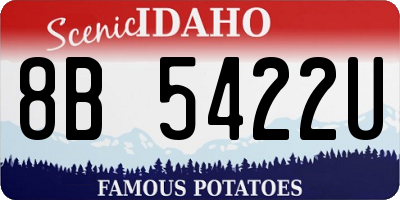 ID license plate 8B5422U