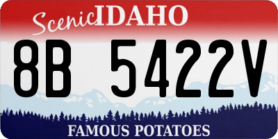 ID license plate 8B5422V