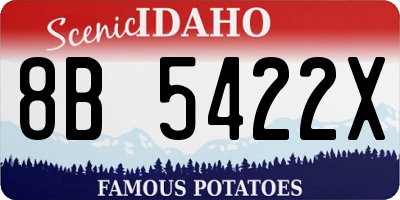 ID license plate 8B5422X