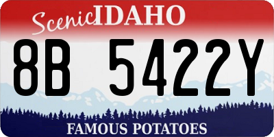 ID license plate 8B5422Y