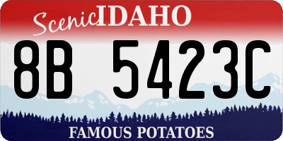ID license plate 8B5423C