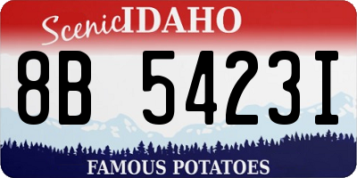 ID license plate 8B5423I