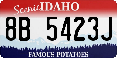 ID license plate 8B5423J