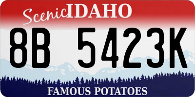 ID license plate 8B5423K