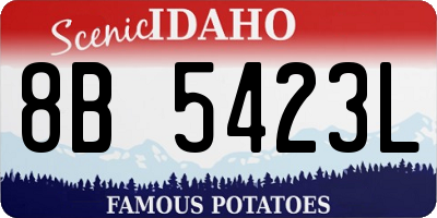 ID license plate 8B5423L