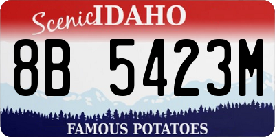 ID license plate 8B5423M