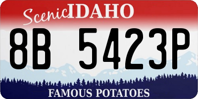 ID license plate 8B5423P