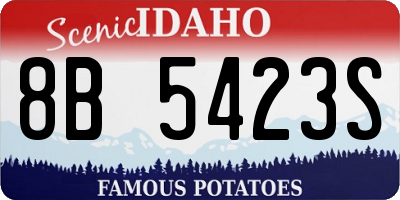 ID license plate 8B5423S