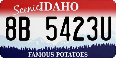 ID license plate 8B5423U