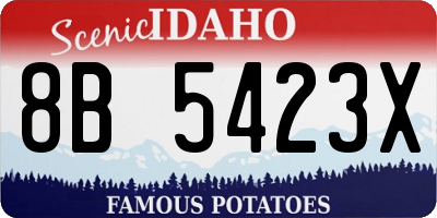 ID license plate 8B5423X