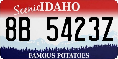 ID license plate 8B5423Z