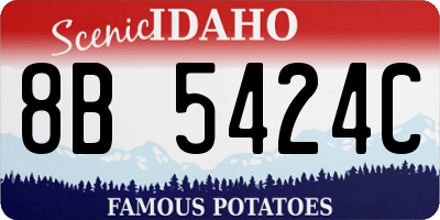 ID license plate 8B5424C
