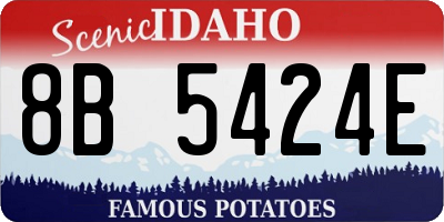 ID license plate 8B5424E