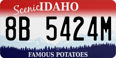 ID license plate 8B5424M