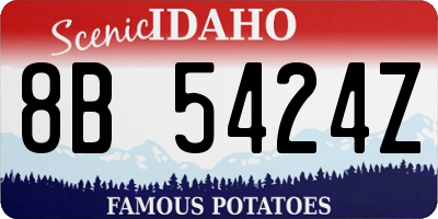 ID license plate 8B5424Z