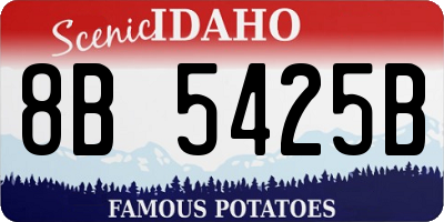 ID license plate 8B5425B