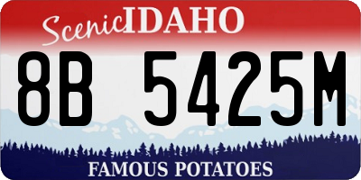 ID license plate 8B5425M