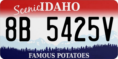 ID license plate 8B5425V