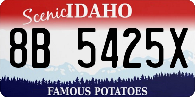 ID license plate 8B5425X