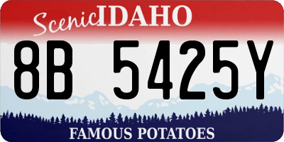 ID license plate 8B5425Y