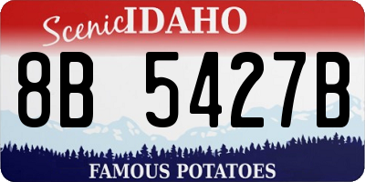ID license plate 8B5427B