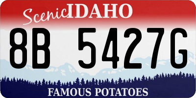 ID license plate 8B5427G