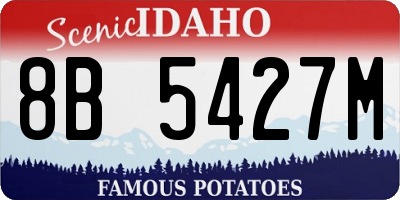 ID license plate 8B5427M