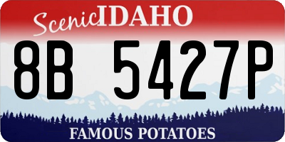 ID license plate 8B5427P